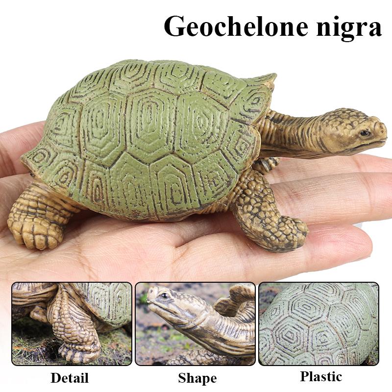Oenux Reptile Animals Star Turtle Tortoise Geochelone Model Figurines Action Figures PVC Ornament Education Kid Toy Gift