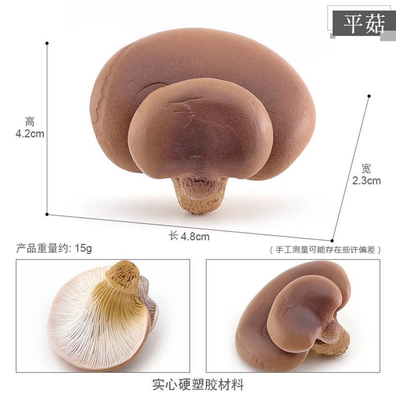 

Набор моделей грибов с изысканной детализацией, включающий шиитаке, эноки, мацутакэ и привлекательные ядовитые зонтики для настольного декора Oyster 15g