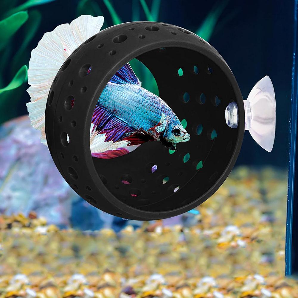 Betta Tunnel For Small Fish, Shrimp, Guppy Hiding & Resting, Black