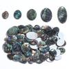2 Pcs/lot Colorful Sea Shell Cabochon Beads Oval Shell Beads Loose Spacer Beads For Jewelry Making DIY Charm Bracelets Necklace