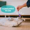 7 jouets pour Chat - AIMÉ