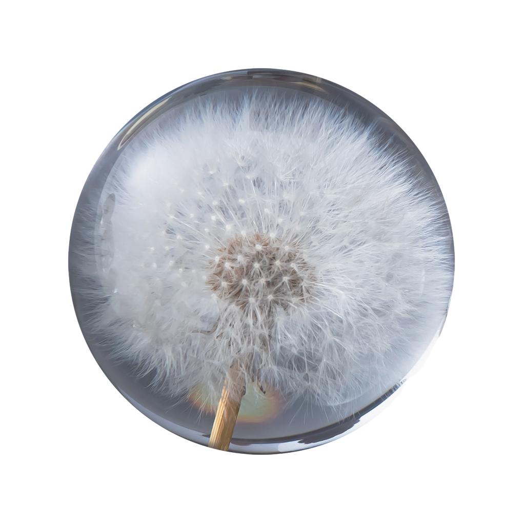 Sfera di Cristallo Floreale Fatta a Mano Tocco di Natura in Casa Regalo Resina Decorativa Sfera dei Sogni Ortensia blu 8cm