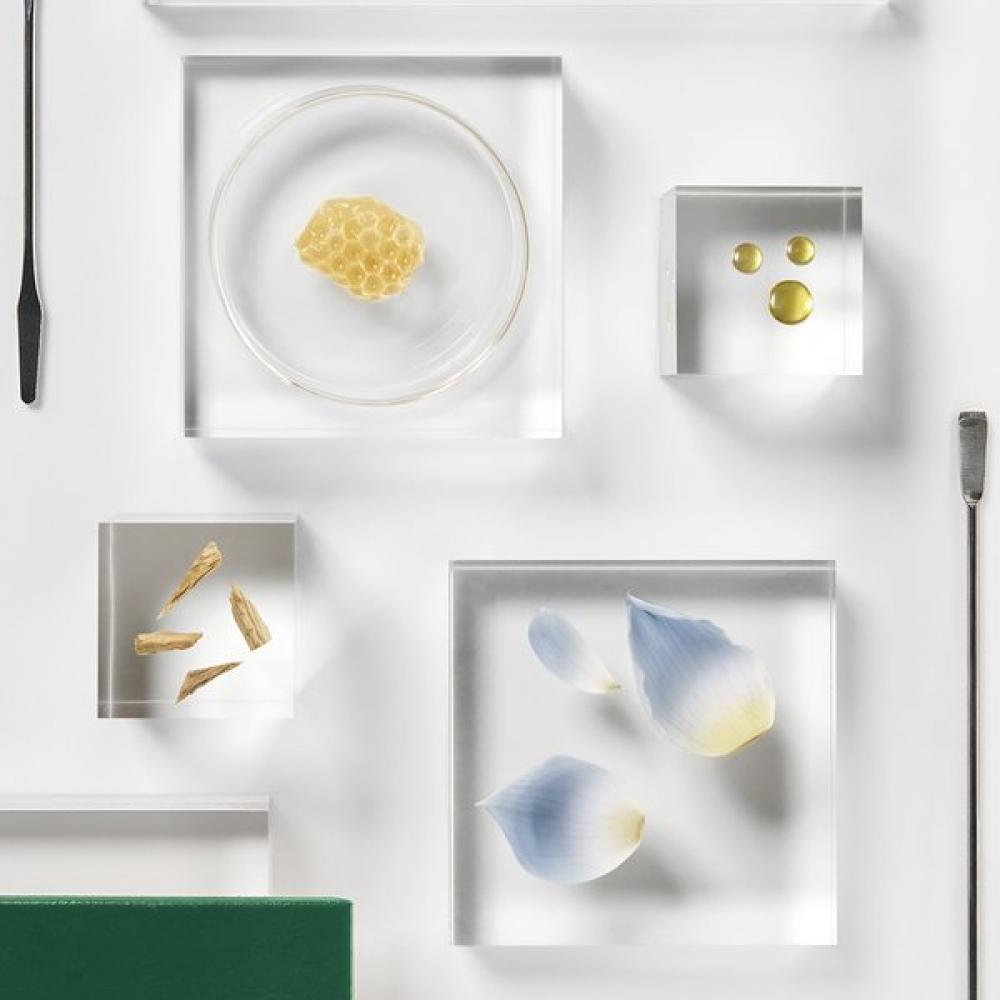 Rene Furterer Tri Active Sos Ampoule  5ml 12ea  +random Shampoo 200ml Gift 