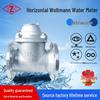 Stainless Steel Woltmann Water Meter, Dry Type, Removable Cover, Cold/Hot, DN100-125.