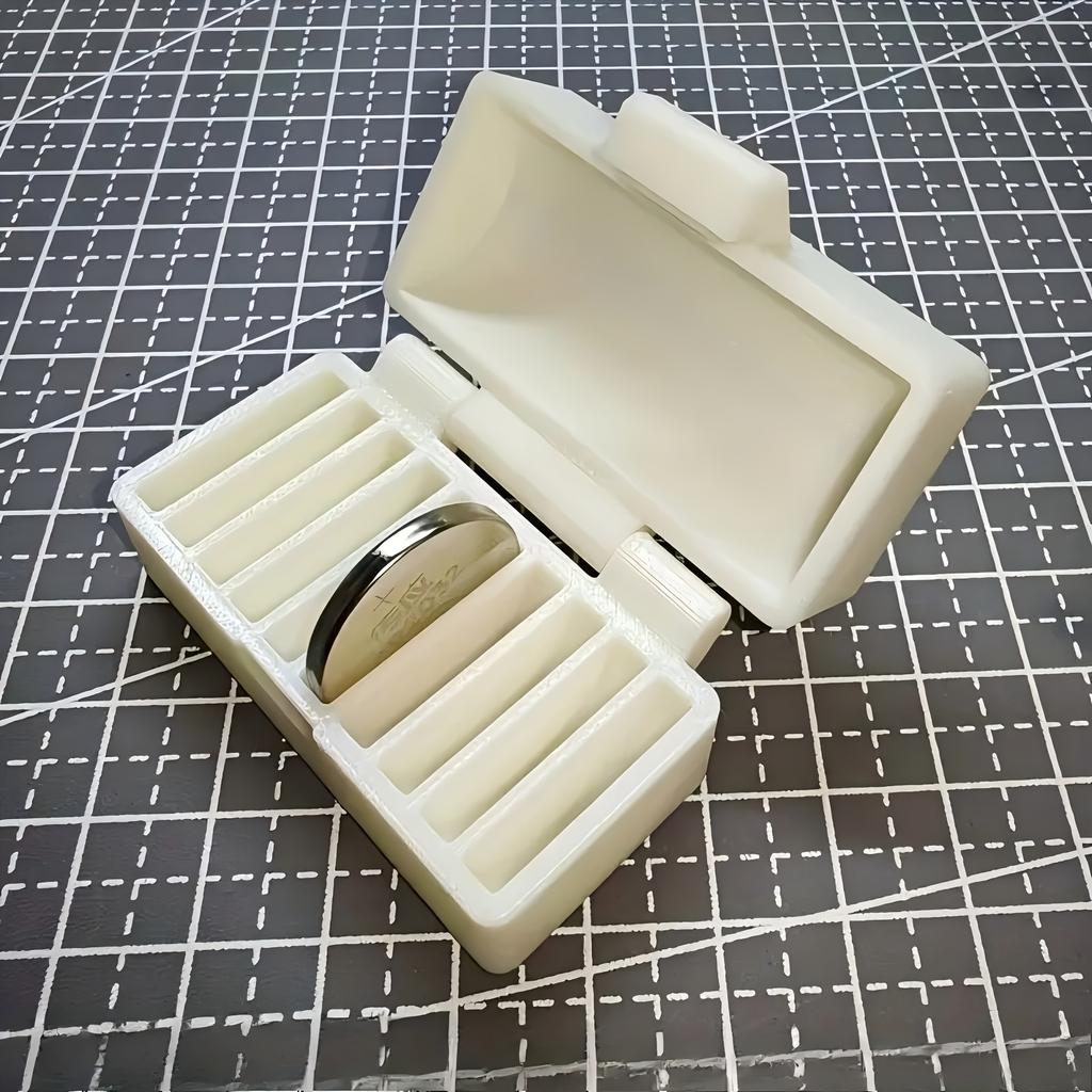 [Přenosný] Držák knoflíkových baterií CR2032 s 10 otvory a 10 zásuvkovými sloty - Přenosný úložný box na malé baterie, zabraňuje ztrátě