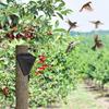 Solar Timer Bird Repeller With 13 Sound Waterproof Bird Repellent Alarm Outdoor Crop Orchard Protection Animal Deterrents