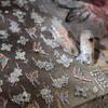 TENSOR Advanced Gold Butterfly Flower TL-352 Transparent Glass Pearl Nail Stickers