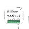 Tuya Smart Zigbee Dual-Channel Electricity Meter with CT Current Transformer (AC110/240)
