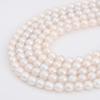 48Pcs Natural Freshwater Pearls For DIY Necklace Bracelet Earrings Jewelry Making
