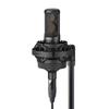 Sony C-100 - Condenser Microphone