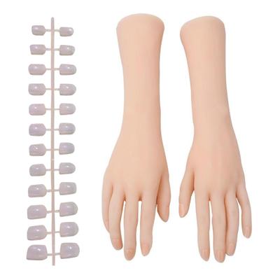 Felimoa Silicone Hand Model with Skeleton, Movable Female Hand Mannequin, Includes Articulated Nails, Set of Two Hands