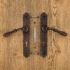 BRISTOL AGED door handle with a plate for a 72mm insert