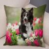 Roztomilý mazlíček Zvíře Povlak na polštář Skotská kolie Okrajová Povlak na polštář pro dekoraci pohovky auta Potisk psa Měkký plyšový povlak na polštář