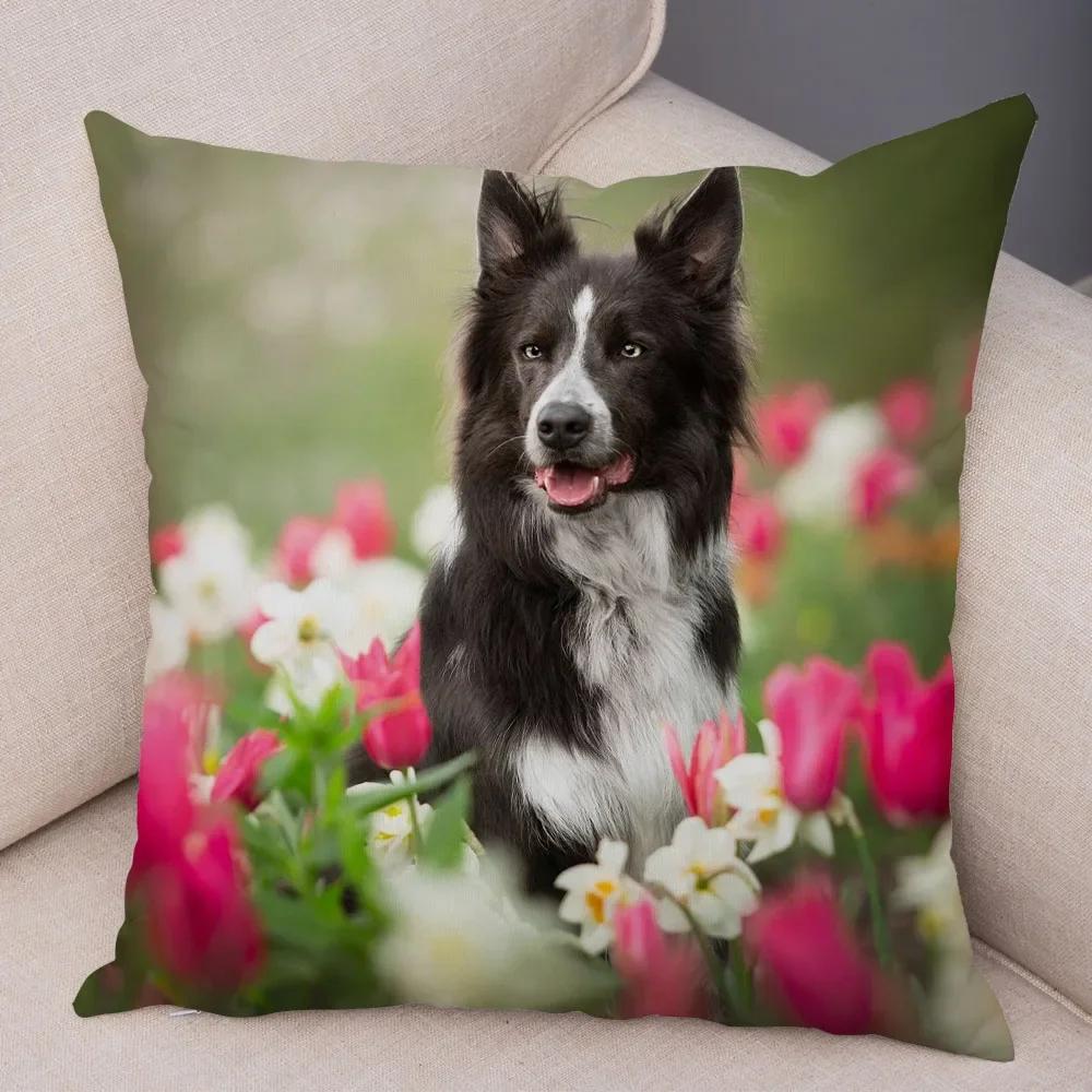 Cute Pet Animal  Cushion Cover Scotland Border Collie Pillowcase for Sofa Car Decor Dog Printed Soft Plush Pillow Case