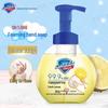Safeguard Antibacterial Foaming Hand Soap