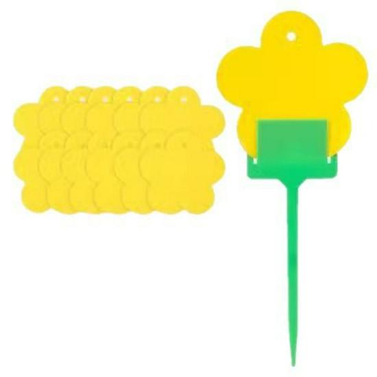 Gele en Blauwe Dubbelzijdige Kleefvallen voor Kleine Vliegjes - Binnen Zomergebruik