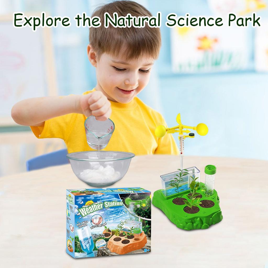 Teaching Physics Science Experiment Magnet Toys Children's Plant Planting Set