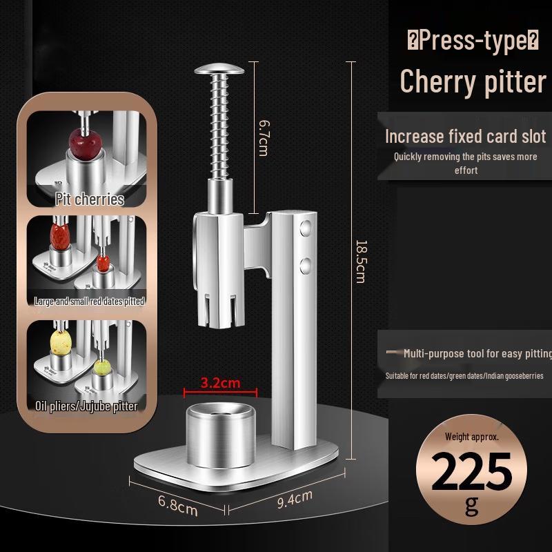 ZISIZ 304 Stainless Steel Fruit Pitter