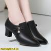 Stylish Pointed-toe Single Shoes with Side Zipper, Versatile and Elegant Women's Shoes for Spring and Autumn