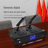 Runpu RP-YS6600 Wired Daisy-Chain Gooseneck Conference Microphone System (CN version)