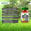 Dabur Gokshura Tablets 60 Count | Boosts Vitality, Stamina & Endurance | Supports Gut & Urinary Tract Health Naturally