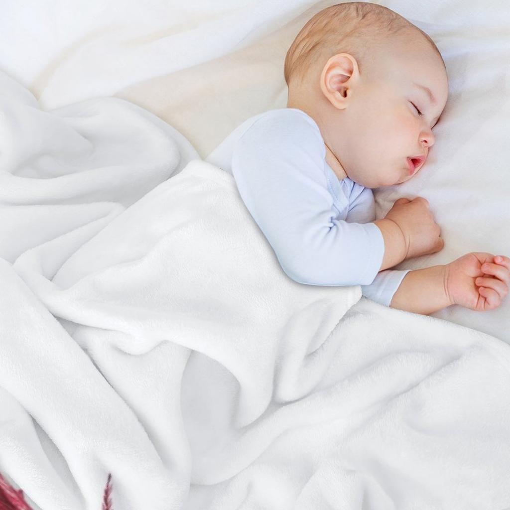 Ceanothus Silkmoth (Hyalophora Euryalus) Throw Blanket Christmas Gifts Polar Beautifuls Blankets