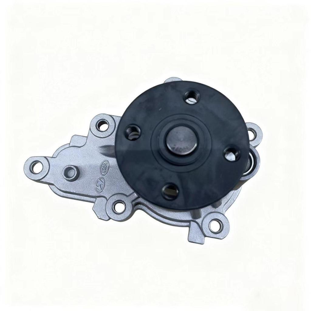 High-Quality Engine Water Pump for Hyundai & Kia (25100-07000)