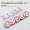 Square/Round Base Magnetic Nail Holder 5 Nail Holders Nail Tips Display Kit  Beginner
