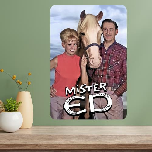 

Ed Classic TV Show Metal Poster Sign 20x30cm（7.8x11.8inch）