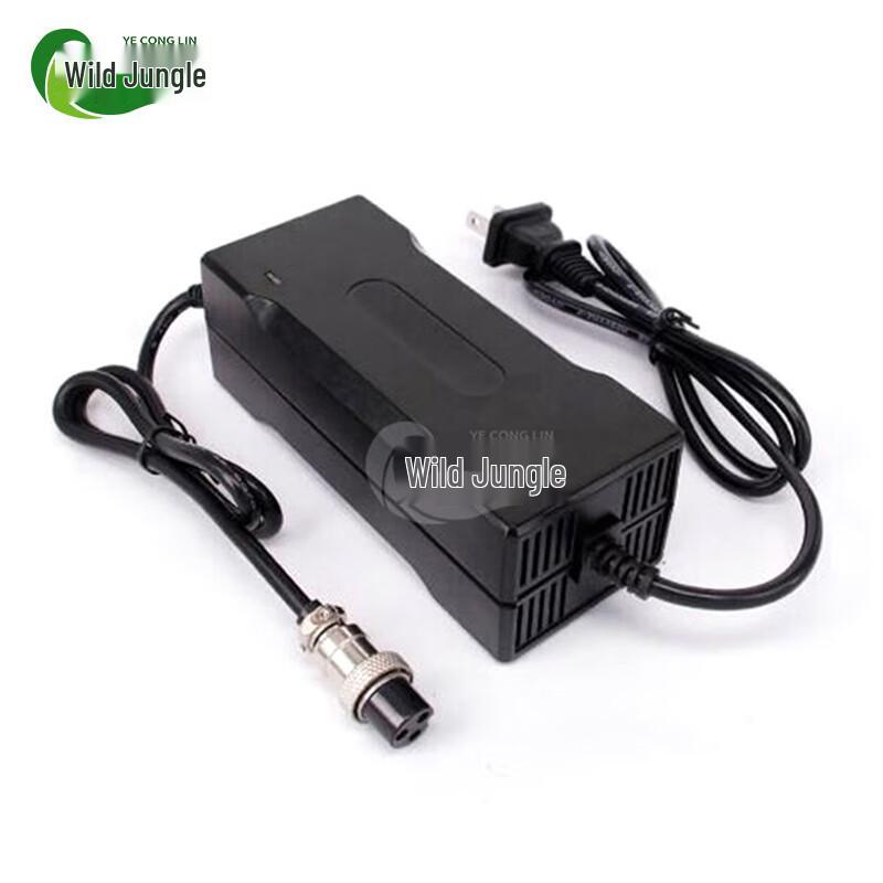 Wild Jungle 12V 100AH LiFePO4 Battery for Outboard Motors