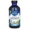 Arctic Cod Liver Oil, Orange, 1,060 Mg, 8 Fl Oz (237 Ml)