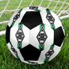 Borussia Indoor Soccer Ball Colorful Machine Stitched PVC Size 5 Team Training Competition Ready Durable High-Bounce Cool Sports Gift