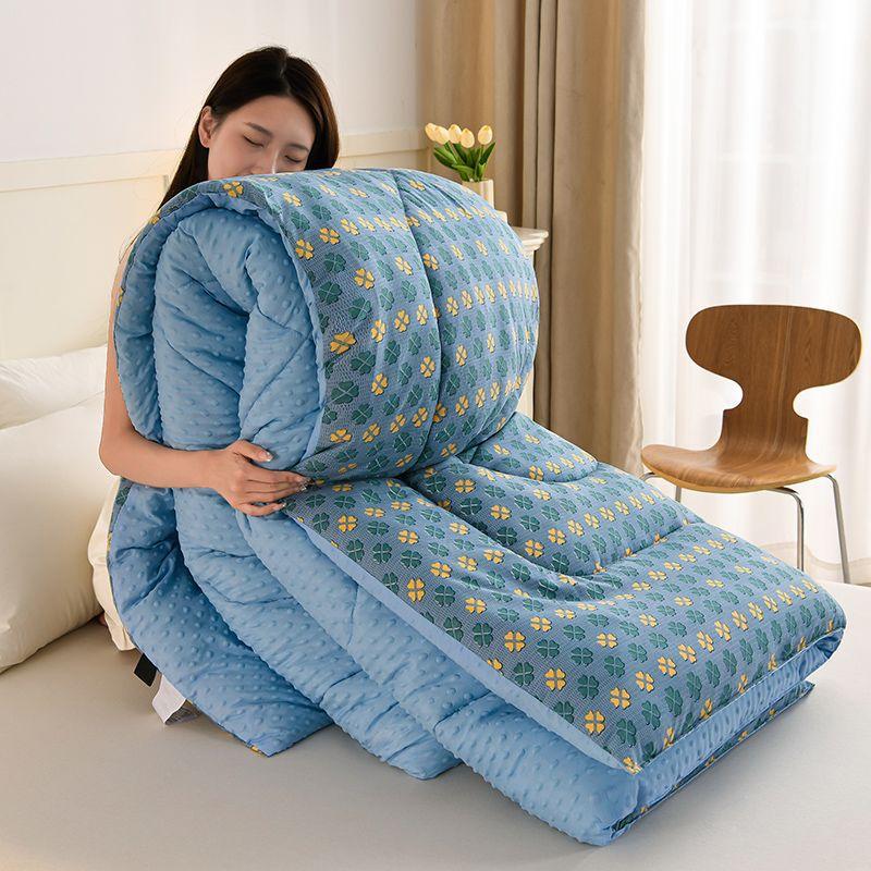 Thickened warm Doudou quilt spring and autumn quilt winter velvet thickened washed Doudou yarn double quilt core