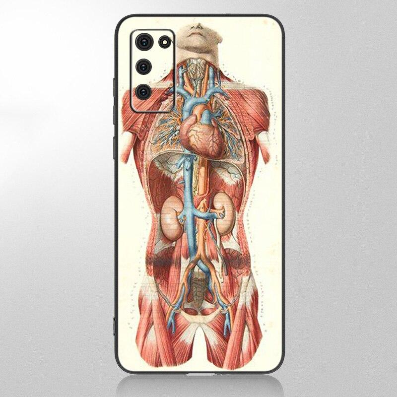 Medical Human Organs Brain Meridian Kidney High Case For Samsung Galaxy A12 A02S A22 A32 A52 A72 A71 A51 A41 A31 A21 A11 A50 A70