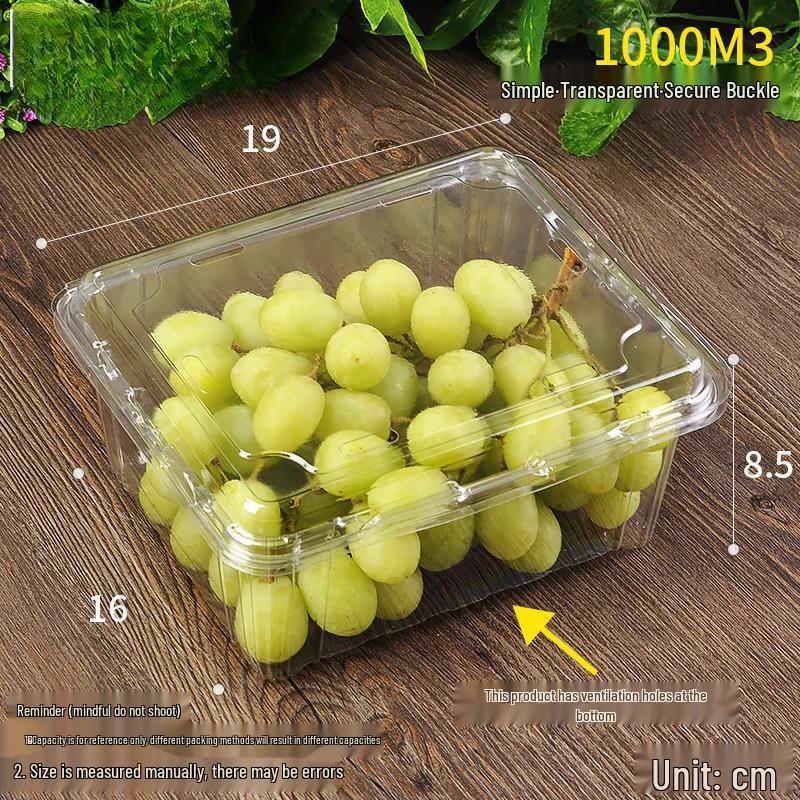 Shi Xun Disposable Fruit Packaging Containers