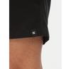Спортивные шорты DC Shoes ADYWS03079