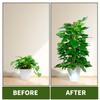 2/4/8pcs Pack Bendable Moss Pole for Plants Climbing Coco Coir Plant Support Sticks for Indoor Balcony Garden Monstera Plants