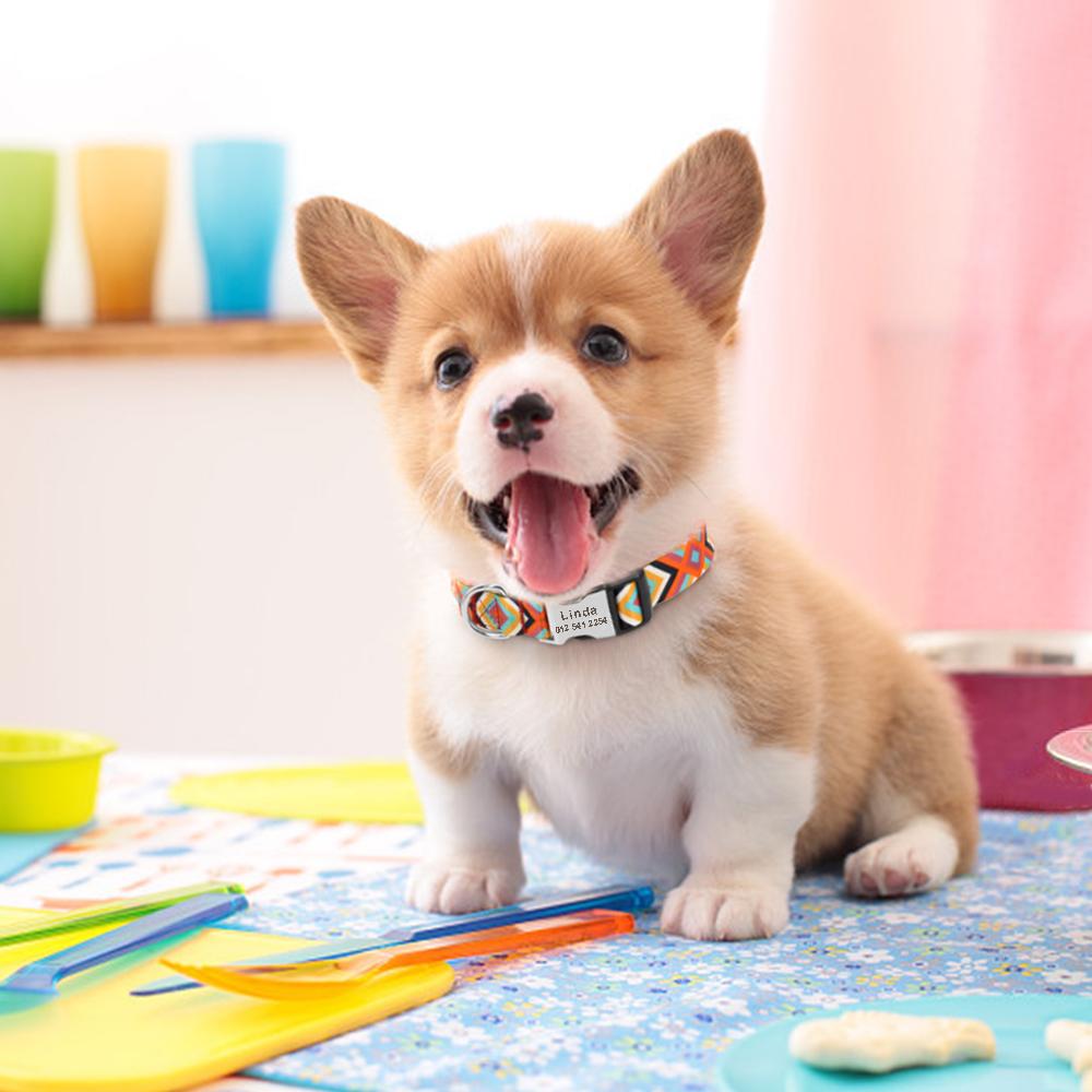 Zgardă Personalizată Indiană pentru Câine Pisică, Zgărzi Personalizate din Nailon pentru Căței Chihuahua Pug, Zgărzi pentru Animale de Companie Ajustabile pentru Câini Mici Medii Mari