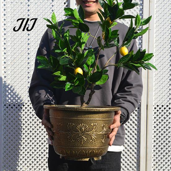 Plastic Bonsai Planter for Lotus Water Lily Planter, Vintage Round Plant Pot, Without Drainage Hole, Style Balcony Basin Extra Large Flower Pot Lotus,