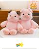 Viral Cute Little Pig Plush Toy Doll – Perfect Gift for Girls