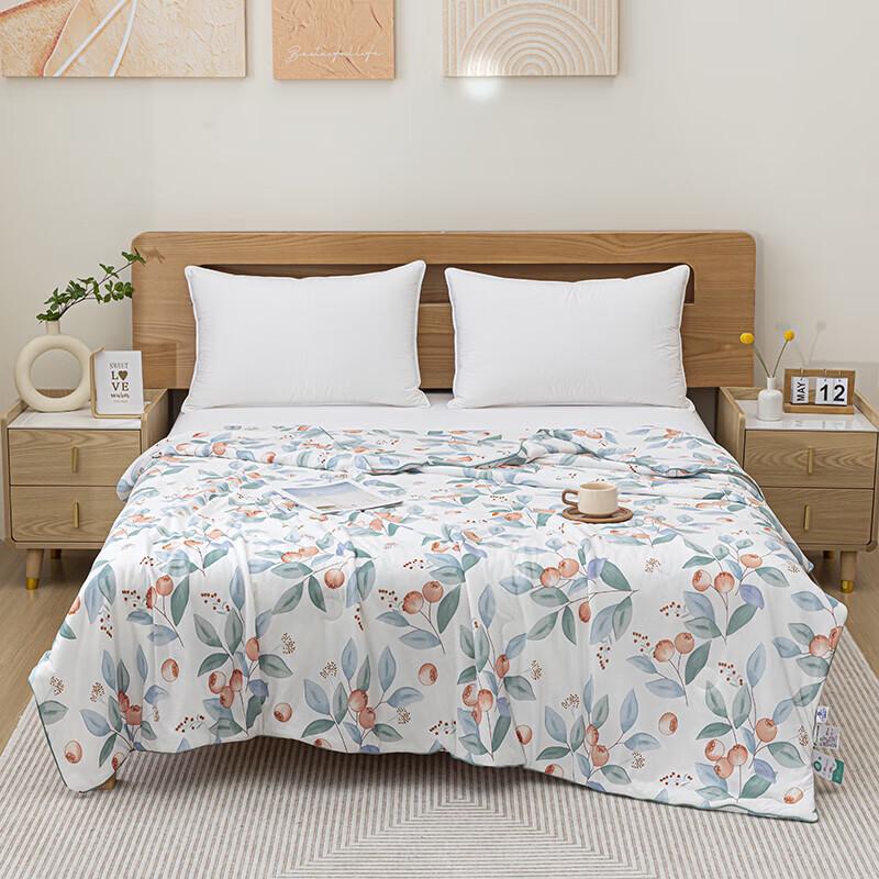 

Huangqin Shijia Ice Cool Summer Quilt