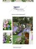 Mori Style Artificial Wedding Aisle Flowers