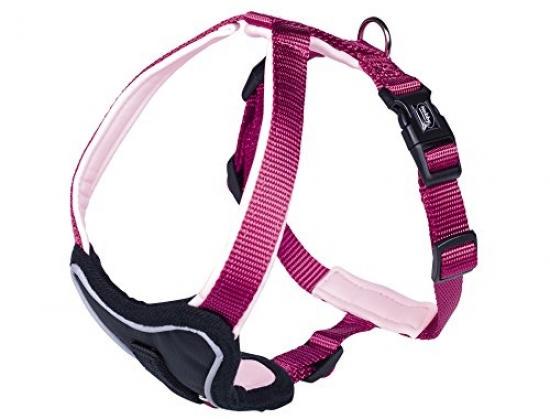 nobby dog harness