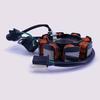 Lica Magnetic Steel Flywheel & Stator Coil for QS125T-2 / QS100T Motorcycles