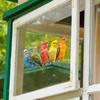 Painted Parrot Balcony Glass Home Beautification and Decoration Electrostatic Window Stickers