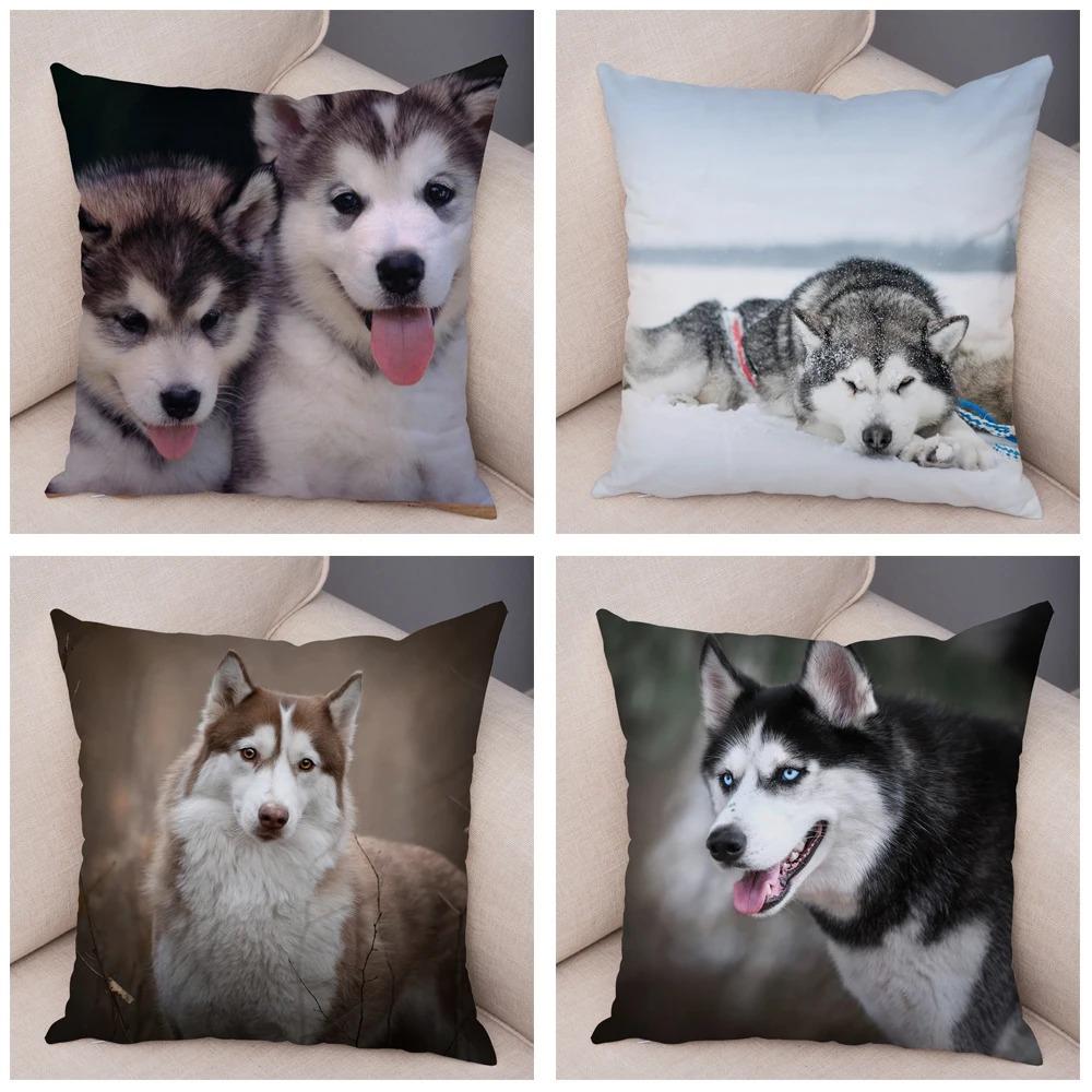 pc Realistic Siberian Husky Print Pillowcase Set Polyester NonEmbroidery Cushion Covers for Sofa Bed Dog Lover Home Decor