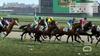 Winning Post 9 2022 [Switch]