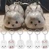 Hair Container Pet Hair Storage Keychain Transparent Rabbit Hair Storage Box  Jewelry Gifts