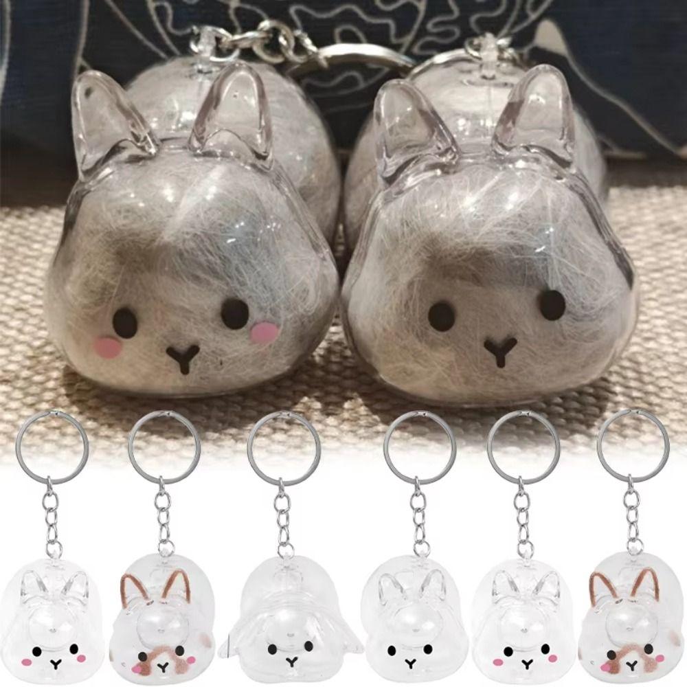 Hair Container Rabbit Hair Collector Transparent Rabbit Hair Storage Box  Jewelry Gifts