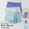 3-Pack Modal Youth Edition Mulberry Silk 10A Antibacterial Flat Corner Underwear